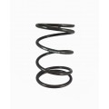RS100 Racing Torque Spring